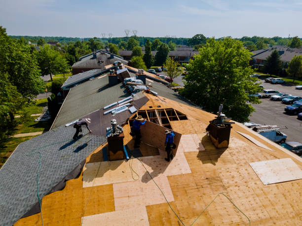 Quick and Trustworthy Emergency Roof Repair Services in Lanett, AL