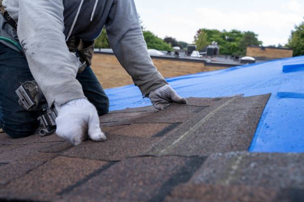 Quick and Trustworthy Emergency Roof Repair Services in Lanett, AL