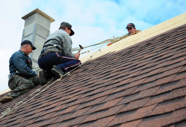 Roof Gutter Cleaning in Lanett, AL